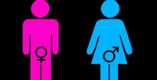 gender-roles