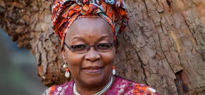 Cameroon Lawyer Receives Award for Defending LGBT Rights