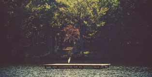 unnamed-1