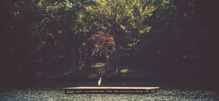 QWoC Chronicles: Vulnerability as a Privilege